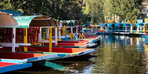 Visite guidée de Xochimilco, Coyoacán et Frida Kahlo